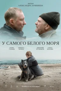 Борис Галкин, Никита Манец, Дмитрий Куличков, Елена Махова,